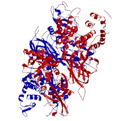 Image of CATH 1qxp