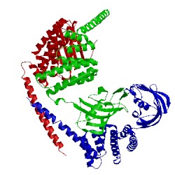 Image of CATH 1qz2