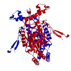 Image of CATH 1r35
