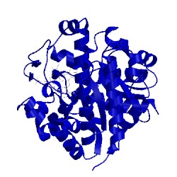 Image of CATH 1r3v