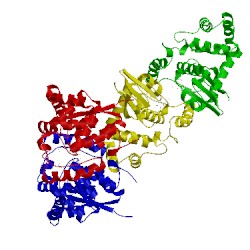 Image of CATH 1r4w