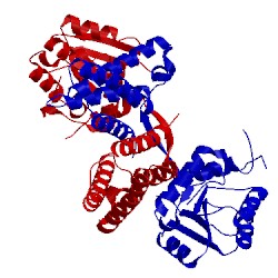 Image of CATH 1r8j