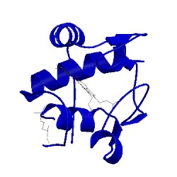 Image of CATH 1rap