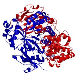 Image of CATH 1rba