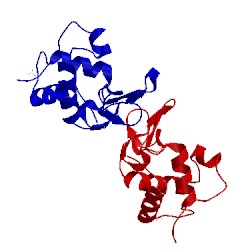 Image of CATH 1rcm