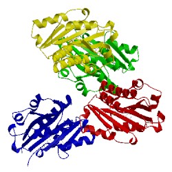 Image of CATH 1rd4