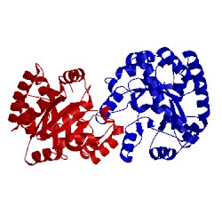 Image of CATH 1rd5