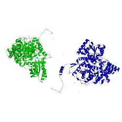 Image of CATH 1req