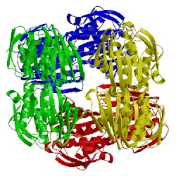 Image of CATH 1rf4