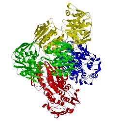 Image of CATH 1rf5