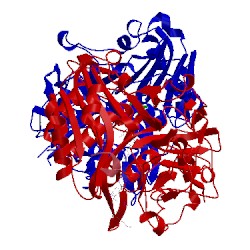 Image of CATH 1rff