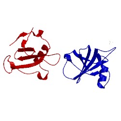 Image of CATH 1rgf