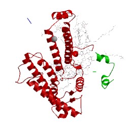 Image of CATH 1rgn