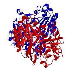 Image of CATH 1rgu