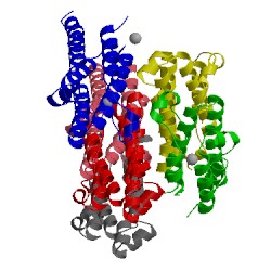 Image of CATH 1rh2