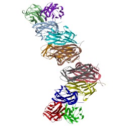 Image of CATH 1rj7