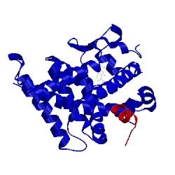 Image of CATH 1rk3