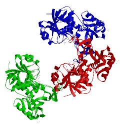 Image of CATH 1rm3
