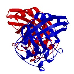 Image of CATH 1rmh