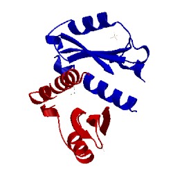 Image of CATH 1rpy