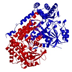 Image of CATH 1rv4