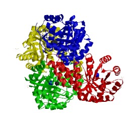 Image of CATH 1rv8