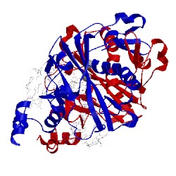 Image of CATH 1rvb