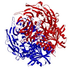 Image of CATH 1rwq