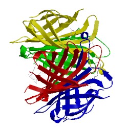 Image of CATH 1rxj