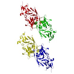 Image of CATH 1rxt