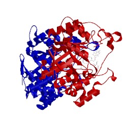 Image of CATH 1ry8