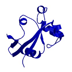 Image of CATH 1s04
