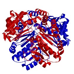 Image of CATH 1s09