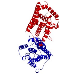 Image of CATH 1s13