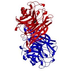 Image of CATH 1s18
