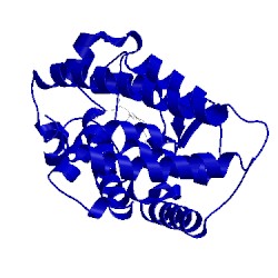 Image of CATH 1s19