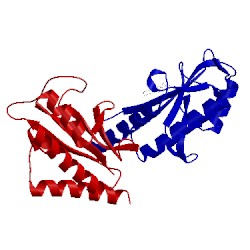 Image of CATH 1s1j