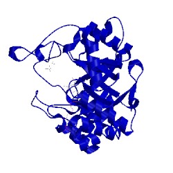 Image of CATH 1s1r