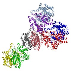 Image of CATH 1s20