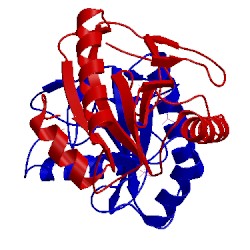 Image of CATH 1s2j