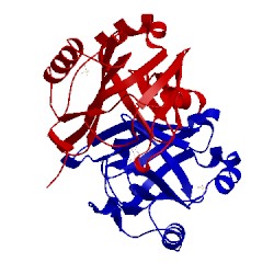 Image of CATH 1s2p