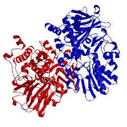 Image of CATH 1s2q