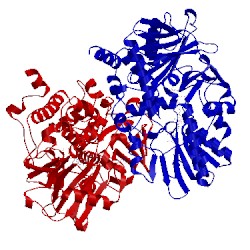 Image of CATH 1s3b