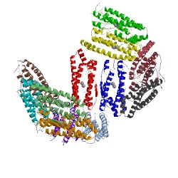 Image of CATH 1s3q