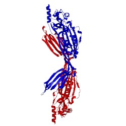 Image of CATH 1s3r