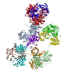 Image of CATH 1s4d