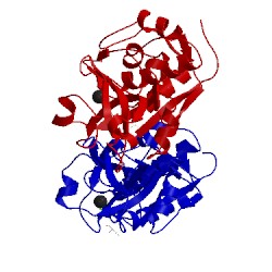 Image of CATH 1s4v