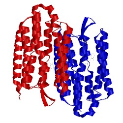 Image of CATH 1s53