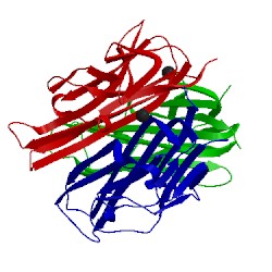 Image of CATH 1s55