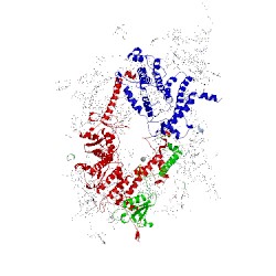 Image of CATH 1s5l